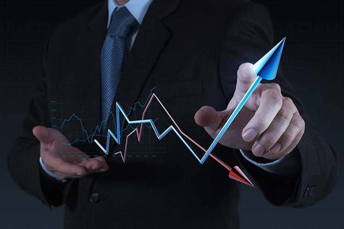 拓商之道 拼多多運(yùn)營實(shí)戰(zhàn)攻略，告別“沒流量”困境的站內(nèi)推廣秘笈